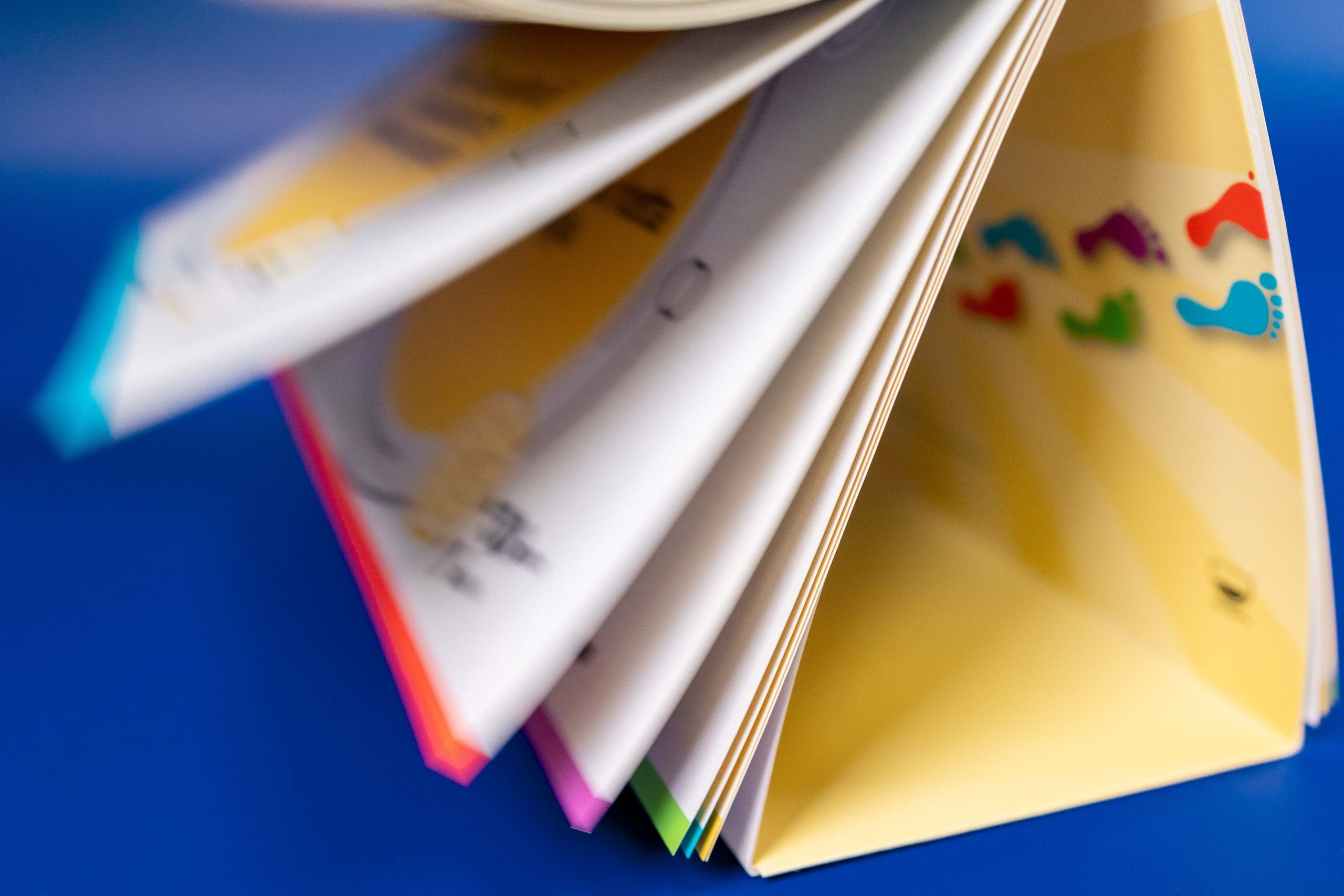 100 idee, 1000 risorse e 1 solo referente dedicato alle tue necessità.